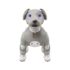Puppy leash blue